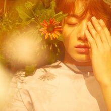 Love Yourself Her Gallery Bts Wiki Fandom