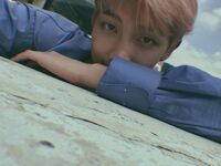 RM on Twitter: "여러가지 사진" [2017.09.07]