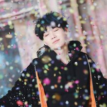 You Never Walk Alone Gallery Bts Wiki Fandom