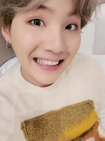 Suga on Weverse: "홉이가 올리래서 올림" [2020.02.04]