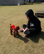 Suga's Twitter update (October 31, 2017)