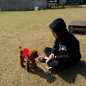 Min Holly Bts Wiki Fandom