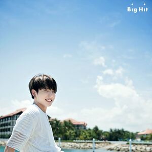 Bts Summer Package Gallery Bts Wiki Fandom