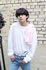 V BE Shoot (3)