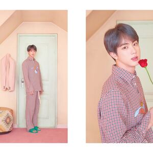 Map Of The Soul Persona Gallery Bts Wiki Fandom