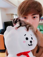 Jin's Twitter update with Odeng (Nov 1, 2018) #1
