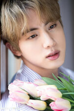 Jin for Naver x Dispatch #1 (March 2019)