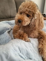 Suga's Twitter update (March 9, 2022)