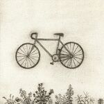 Bicycle (June 7, 2021)