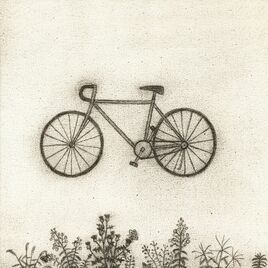 Bicycle Cover