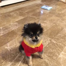 Yeontan Bts Wiki Fandom