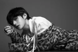 love yourself tear gallery bts wiki