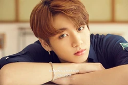 BTS Season Greetings 2017/Gallery | BTS Wiki | Fandom