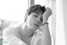 Jimin 2020 Season Greeting Teaser Image (1)