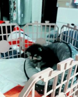 EXILE TRIBE - yeontan Yeontan | BTS Wiki | Fandom