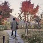 RM on Twitter: "가을아 가지마 😭🍂" [2018.11.11] #2