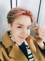 J-Hope on Twitter: "최고의 콘서트, 최고의 생일 덕분에 행복했습니다 !! 정말 사랑합니다!! #HappyJHOPEday #희망_조준_발사 빵야빵야😘" [2017.02.18]