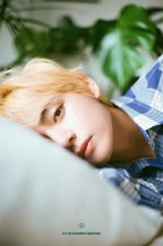 V for the 2019 Season Greetings #1 (November 2018)