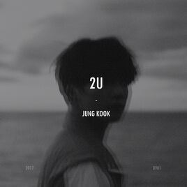 2U Cover