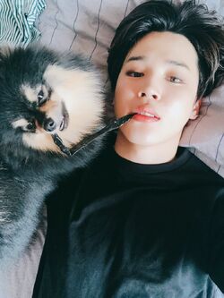 Yeontan | BTS Wiki | Fandom