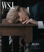 Jimin for Wall Street Journal Magazine (November 2020)