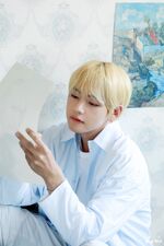 V 2019 Season Greeting Sketch (9)