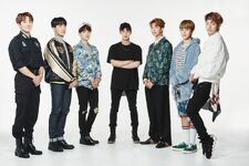 2017 BTS Festa (#13) (June 2017)