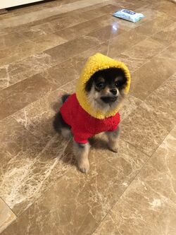 Yeontan | BTS Wiki | Fandom