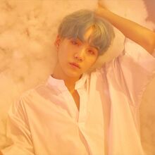 Love Yourself Her Gallery Bts Wiki Fandom