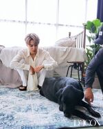 D-icon by Dispatch (#2) (December 2020)