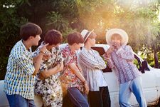 Summer Package 2017 #10