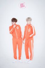 J-Hope and Suga for the BTS Festa #2 (June 2016)