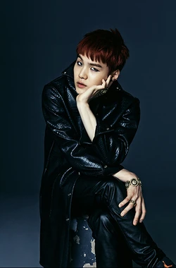 BTS DARK&WILD 初回生産盤 チェキ ポラロイド SUGA BTS DARK&WILD 初回生産盤 チェキ ポラロイド SUGA BTS