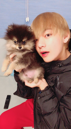 Yeontan | BTS Wiki | Fandom