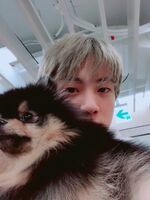 Jin on Twitter: "설날 잘 보내세요" [2019.02.02] #4