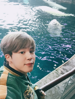 Jimin on Twitter: "아쿠아리움 투어 #Chicago #JIMIN" [2017.04.05]