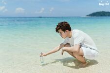 Summer Package 2015 #9