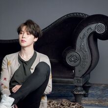 Love Yourself Tear Gallery Bts Wiki Fandom
