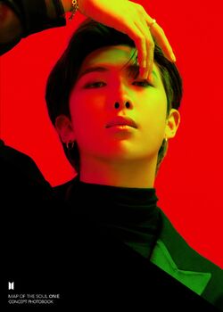 BTS Map of the Soul ON:E Concept Photobook/Gallery | BTS