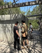 [2025.06.27] #8 monet arruda cezanne