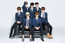 2014 BTS Festa (#4) (June 2014)