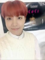 J-Hope on Weibo: "今天也度过充满希望的一天吧 💓" [2018.02.22]