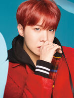 J-Hope Face Yourself