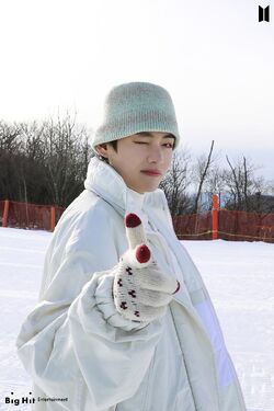 Bts Winter Package Gallery Bts Wiki Fandom The video clip showed the seven members enjoying the winter snow as they prepare the 2021 winter package for their fans. bts winter package gallery bts wiki