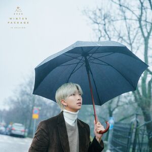 15+ Bts Winter Package Pictures Images
