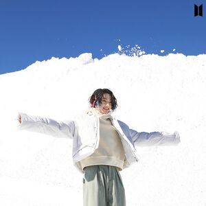 Bts Winter Package Gallery Bts Wiki Fandom Bts (방탄소년단) '2021 bts winter package' preview bts (방탄소년단) 2021 winter package for army. bts winter package gallery bts wiki
