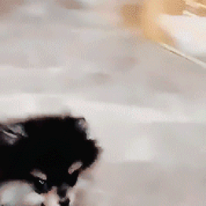 Yeontan Bts Wiki Fandom