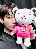 Jungkook on Twitter: "화이팅 #평창동계올림픽 #수호랑 #PyeongChang2018" [2018.01.07]