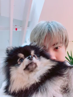 yeontan bts wiki fandom