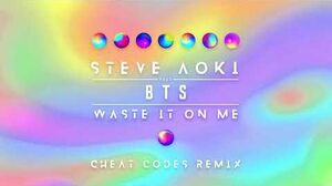 Waste It On Me (Cheat Codes Remix) Audio